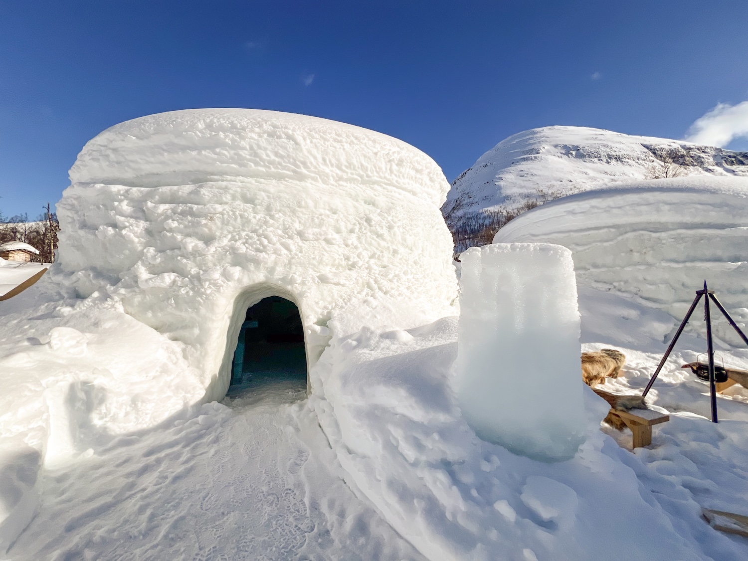 Snow domes standing on a valley floor with mountains behind them